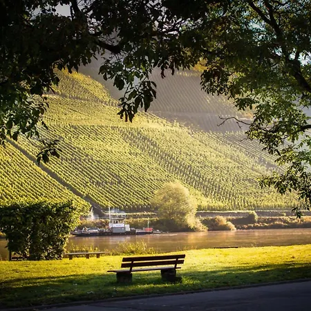 Weingut Lutz - Marienburg Pünderich